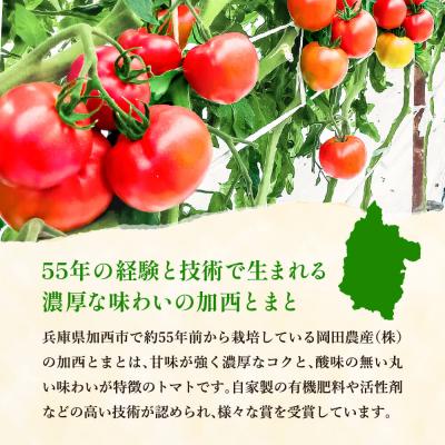 ふるさと納税 加西市 定期便 3ヶ月 太陽のトマトピューレ 1本 380g×3回[No5698-1657] |  | 03