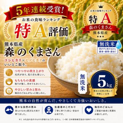 ふるさと納税 玉名市 【熊本県産】 森のくまさん 無洗米 5kg