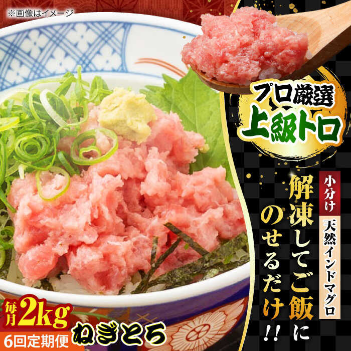 【ふるさと納税】【全6回定期便】天然 まぐろ ねぎとろ 約2kg（約250g×8パック） 鮪 マグロ 魚 ネギトロ 横須賀【本まぐろ直売所】[AKAK048]