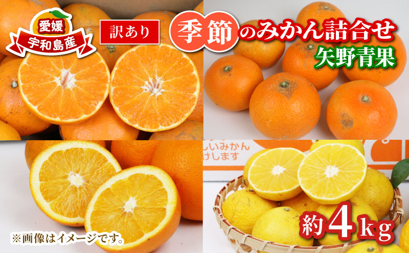 訳あり 季節 の みかん 詰合せ 約 4kg 矢野青果 フルーツ 詰め合わせ セット 柑橘 ミカン 蜜柑 mikan 果物 くだもの 愛媛みかん 愛媛蜜柑 濃厚みかん 産地直送 数量限定 国産 愛媛 