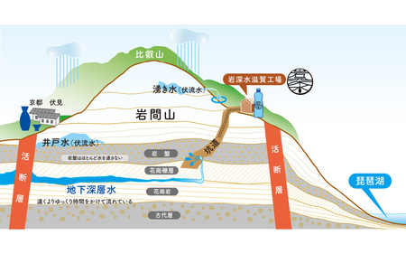 ナチュラルミネラルウォーター岩深水炭酸水300mlペットボトル [BT002] / 天然水