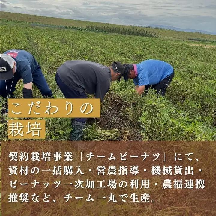 ピーナッツ　国産　会津産手むき素焼きうまピー×5袋　小分け　80g　５袋　農福連携　手剥き【07208-0770】