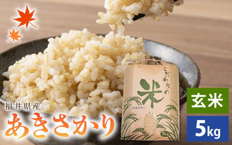 【先行予約】 【新米】 令和7年産 あきさかり 5kg 福井県産 コシヒカリ系統品種【玄米】【お米 アキサカリ 5キロ】 【2025年11月より順次発送】 [e30-a092]