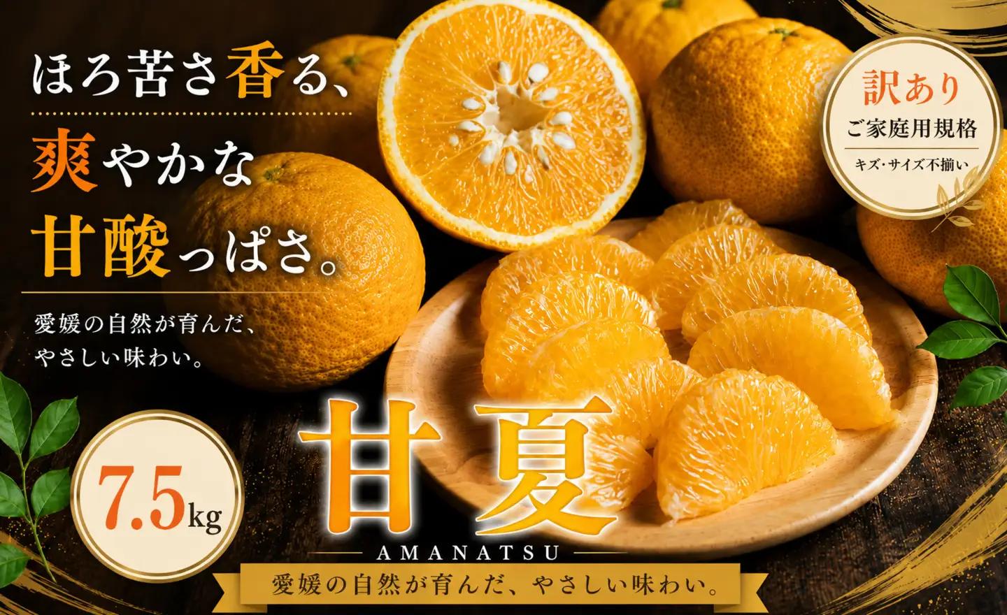 ＜訳あり 愛媛県産甘夏 合計約7.5kg＞『2027年3月下旬～4月下旬迄に順次出荷予定』あまなつ 甘酸っぱい あまずっぱい ご家庭用 果汁 果物 くだもの フルーツ みかん オレンジ 柑橘 人気柑橘 特産品 株式会社OSN 愛媛県 西予市 【常温】OOS0055