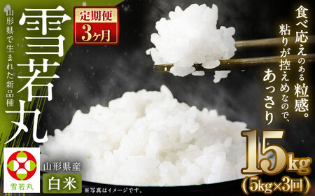 【3ヶ月定期便】【令和7年産】〈白米〉 雪若丸 5kg×3回 山形県産 (5kg袋小分け) 精米  【2025年11月上旬発送開始予定】