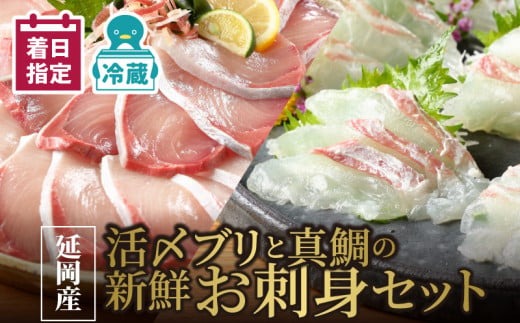 延岡産活〆ブリと真鯛の新鮮お刺身セット　N019-YB824