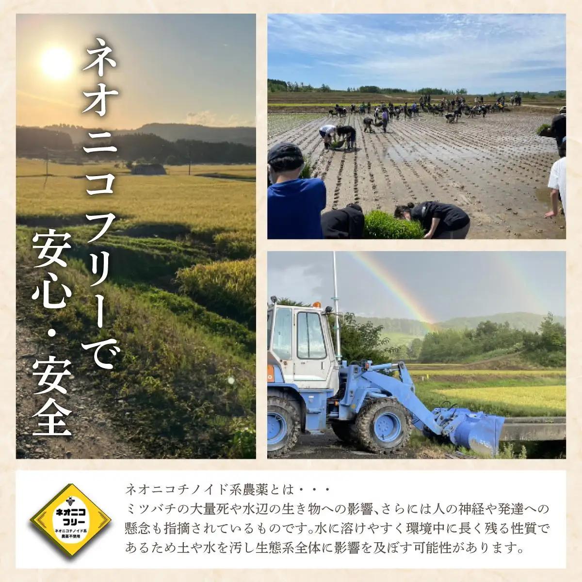 令和7年産 アグリプロ未来のゆめぴりか 5kg【a178-001】