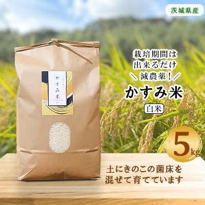 ふるさと納税 潮来市 【毎月定期便】心と身体が踊りだす栽培期間中出来るだけ農薬を減らして作る「かすみ米」白米5kg全12回