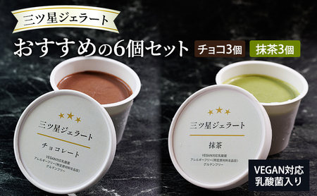 ジェラートセット 三ツ星ジェラート VEGAN対応 乳酸菌入り ジェラートセット【6個 チョコ3抹茶3】