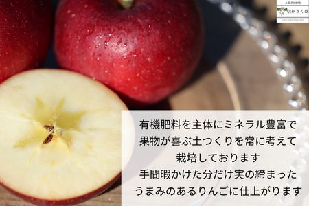 信州産　果汁100％りんごジュース＆「食べる」まるごと人参ジュースセット　計２本〔SA-10〕