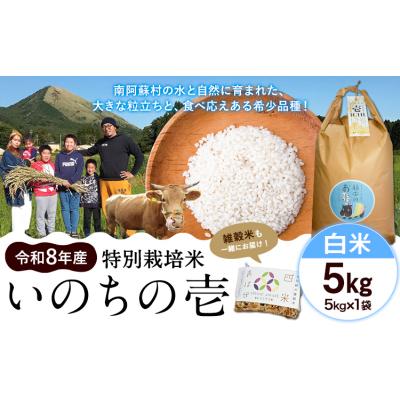 ふるさと納税 南阿蘇村 令和8年産 特別栽培米 いのちの壱 白米 5kg 雑穀米付き