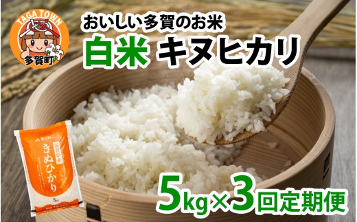 【先行予約】【令和8年産新米早期予約　毎月定期配送・計3回】キヌヒカリ5㎏×3回　おいしい多賀のお米
