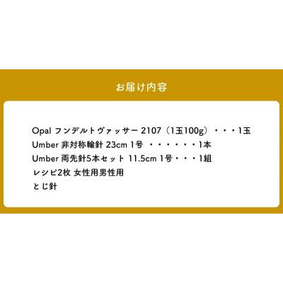 ふるさと納税 生駒市 【Seeknit】非対称輪針で編む大人ソックスのキット 58566【2107】 |  | 03