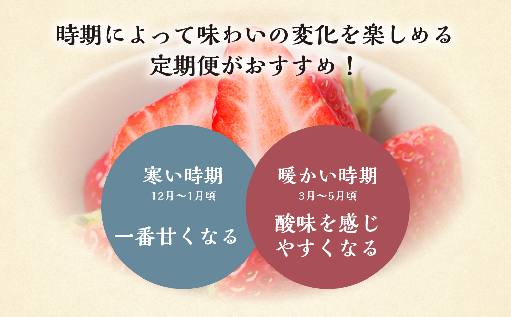 【定期便3回】【2027年1月より発送開始】 しあわせ苺  品種おまかせ 1kg ( 250g × 4p ) 自宅用 サイズ バラバラ 訳あり 訳アリ 含む 農園直送 フルーツ 苺 イチゴ 人気 本巣