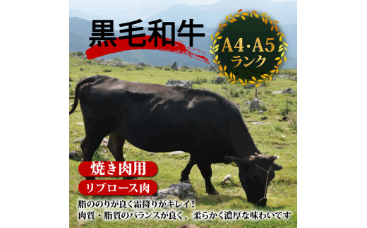 【定期6回】土佐 黒毛 和牛 焼肉用 計4.8kg【800g×6ヶ月連続お届け】