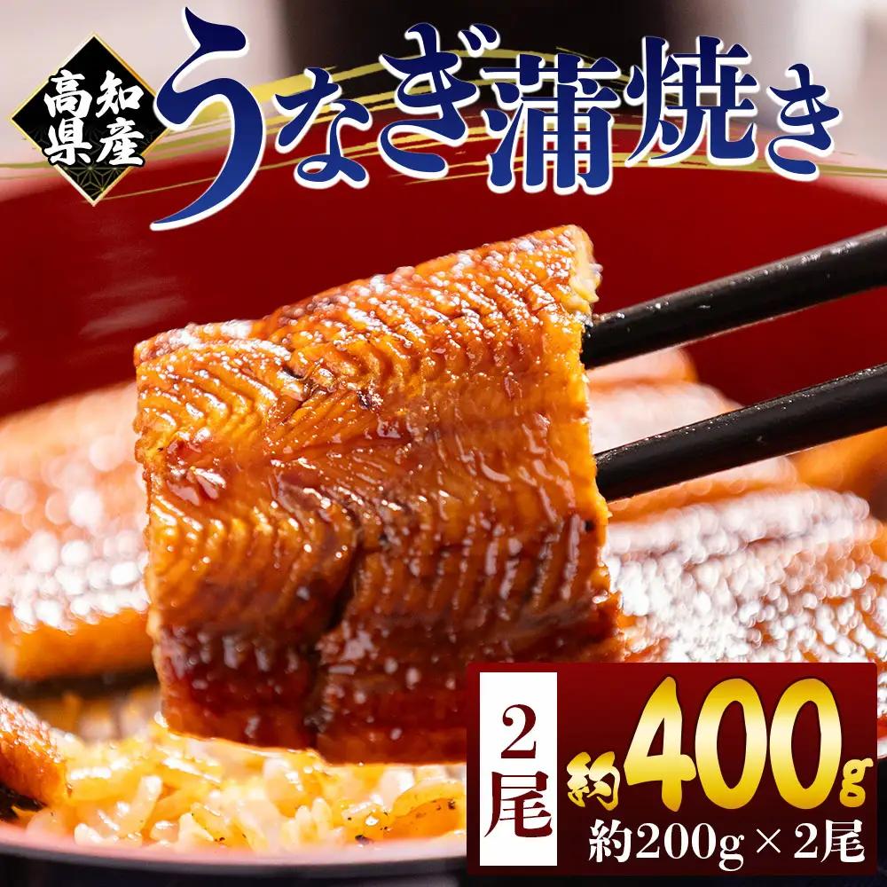 【 うなぎの蒲焼き 】 うなぎの蒲焼き 2尾 (200g以上×2) fb-0227