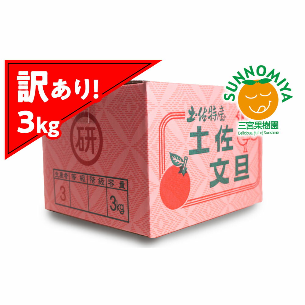 【ふるさと納税】【先行予約】三宮果樹園の土佐文旦 訳あり 3kg ぶんたん ブンタン 3キロ 6玉前後 フルーツ 柑橘 みかん 果物 くだもの 柑橘類 デザート ご家庭用 自分用 お取り寄せ わけあり 国産 高知県 土佐市 こうち 返礼品