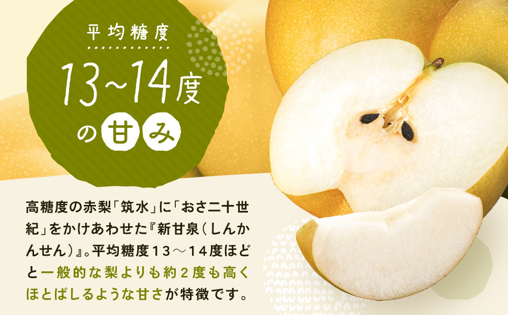 新甘泉梨 3kg箱(約6～10玉)