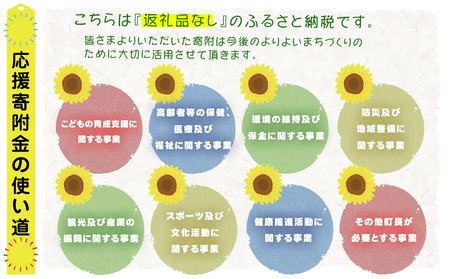 岩手県矢巾町（やはばちょう）応援寄附金（※返礼品なし）50,000円