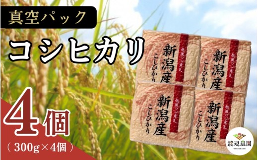 真空パック 五泉産 精米 詰め合わせセット  コシヒカリ4袋入り 新潟県 五泉市 渡辺農園