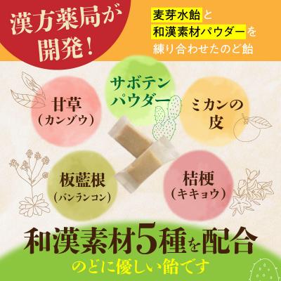 ふるさと納税 小牧市 和漢サボテンのど飴　1袋　[103S12] |  | 01