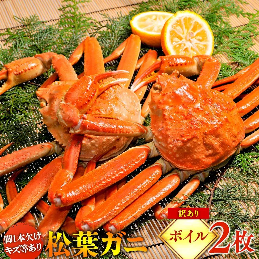 【ボイル】訳あり 松葉ガニ  | 松葉 カニ 訳あり活 特大 美味しさに 訳あり 不揃い でないたっぷり枚 ※2026年11月上旬～2027年3月下旬頃に順次発送予定 ※着日指定不可