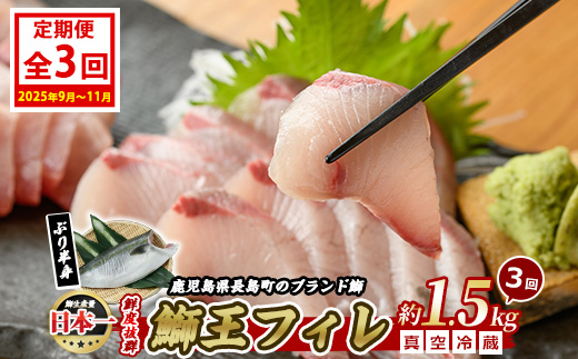 ＜定期便・毎月 全3回＞ 鰤王フィレ 定期便 長島町特産「鰤王」フィレ 約1.5kg×1枚 国産 鹿児島県産 産地直送【JFA】_jfa-1483A