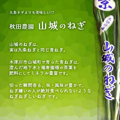 ふるさと納税 木津川市 京都山城のねぎで作った  ねぎ味噌 100g |  | 02
