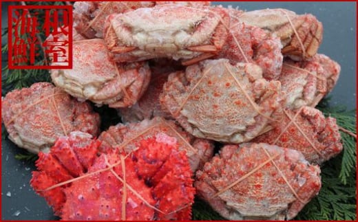 A-57043【12/21まで年内配送】 【北海道根室産】クリガニ15～21尾(計3kg前後)、花咲ガニ1尾