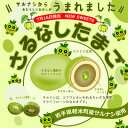 【ふるさと納税】【軽米町産サルナシを使ったお菓子】さるなしたまご9個入×2箱【1351607】