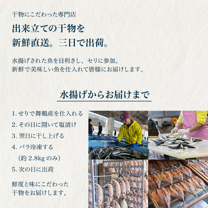 訳あり 舞鶴産 干物 1kg （3種類） お試しセット | ひもの 詰め合わせ 干物 セット お試し 冷凍 規格外 不揃い はつめ かれい うるめいわし みりん干し わけあり ひもの 美味しい