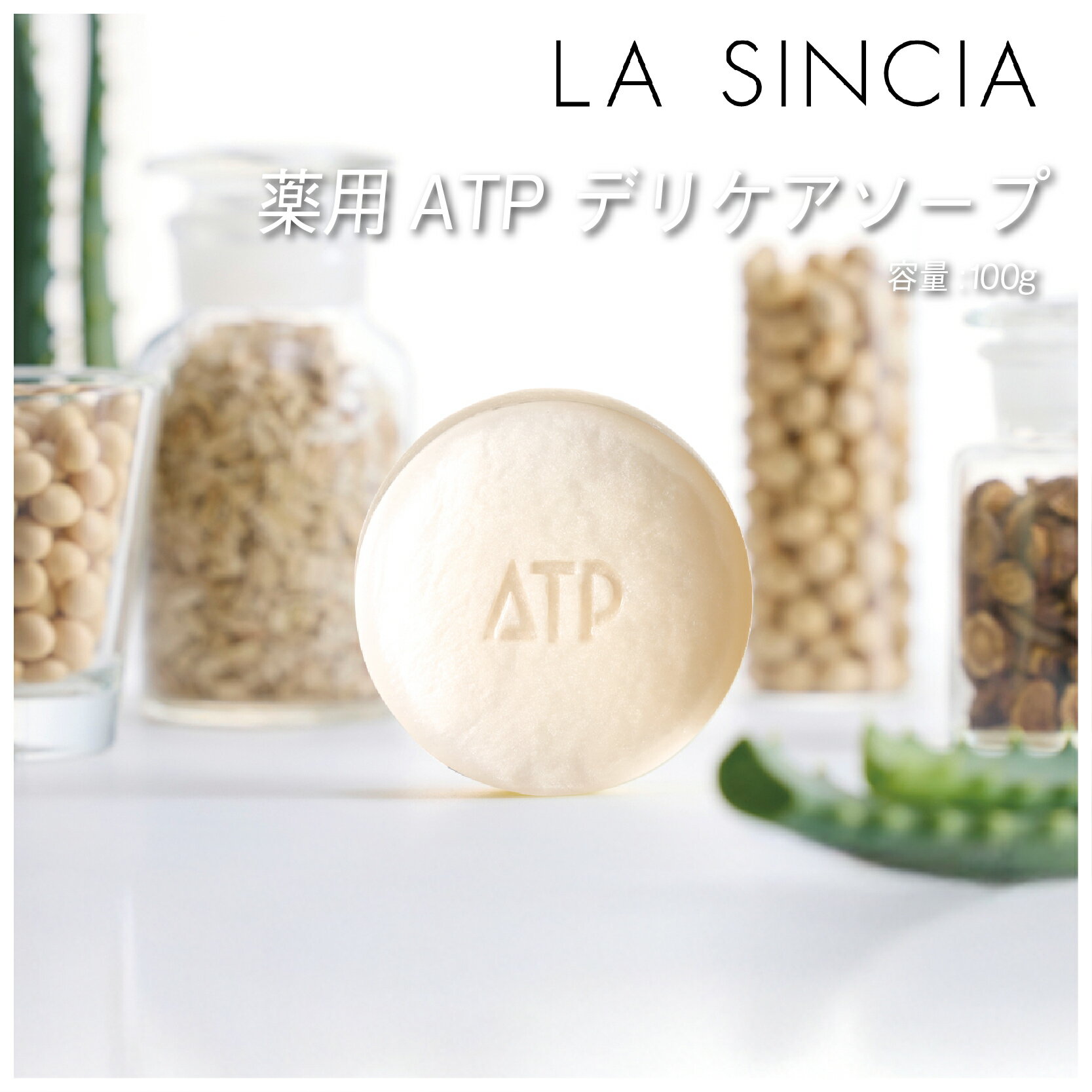 【ふるさと納税】 薬用ATP デリケアソープ 100g 〈ソフトな泡が汚れをやさしく落とす〉 【 洗顔 石鹸 美容石鹸 お肌 ソフト 素肌 ニキビ カミソリ負け 肌荒れ キメ 全身 一人暮らし 送料無料 】