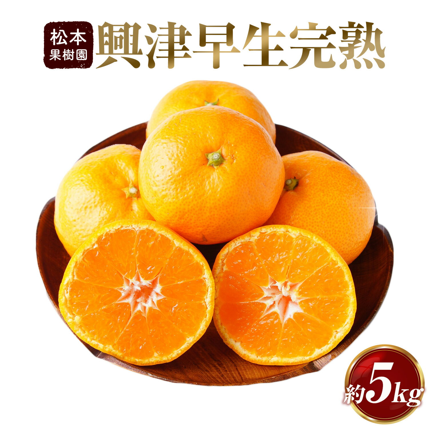 【ふるさと納税】みかん 興津早生完熟 5kg 松本果樹園 《12月中旬-12月下旬出荷予定》 熊本県 苓北町 スイーツ デザート 果物 ミカン 蜜柑