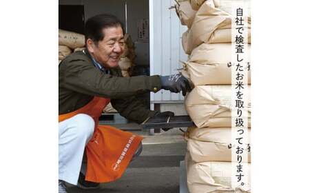 【令和7年産】【白米】山形県産はえぬき5kg