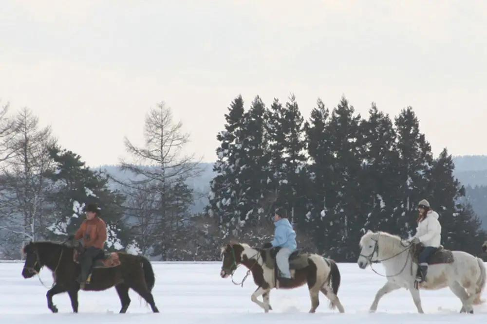 「駒の里」十和田で乗馬トレッキング45分（1名様分） レターパックプラス 青森県十和田市