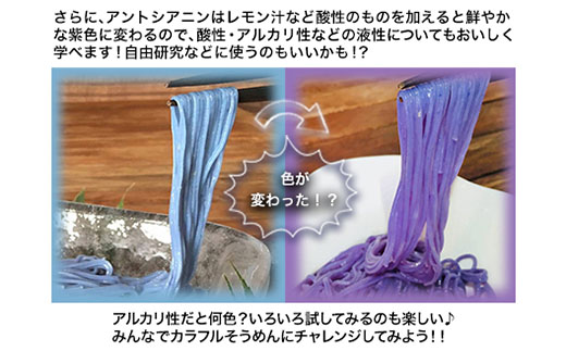 そらいろそうめん濃色 選べる 2セット 3セット 6セット 福永幸山堂《30日以内に出荷予定(土日祝除く)》_イメージ4