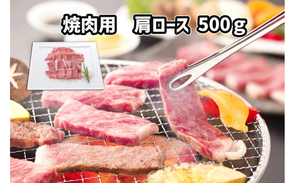 ＜定期便6回＞ A５等級神戸牛　希少部位堪能コース 【神戸ぐりる工房】ステーキ すき焼き 焼肉（隔月でお届け）
