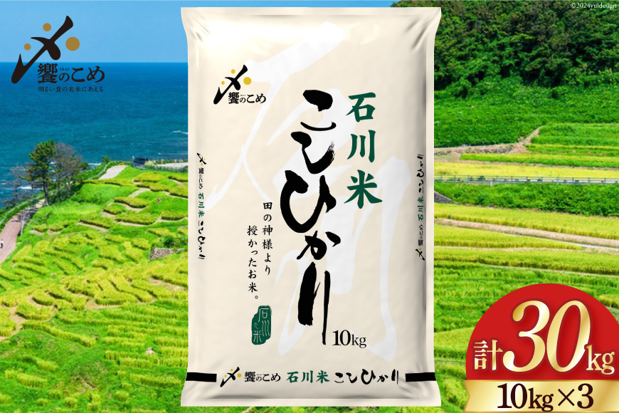 【期間限定発送】 米 令和7年 石川県産 石川米こしひかり【穂立】30kg（10kg ×3袋）[中橋商事 饗のこめ (あえのこめ) 石川県 宝達志水町 38601200] コシヒカリ お米 コメ 白米 精米 おこめ こめ 30キロ ごはん ご飯 国産
