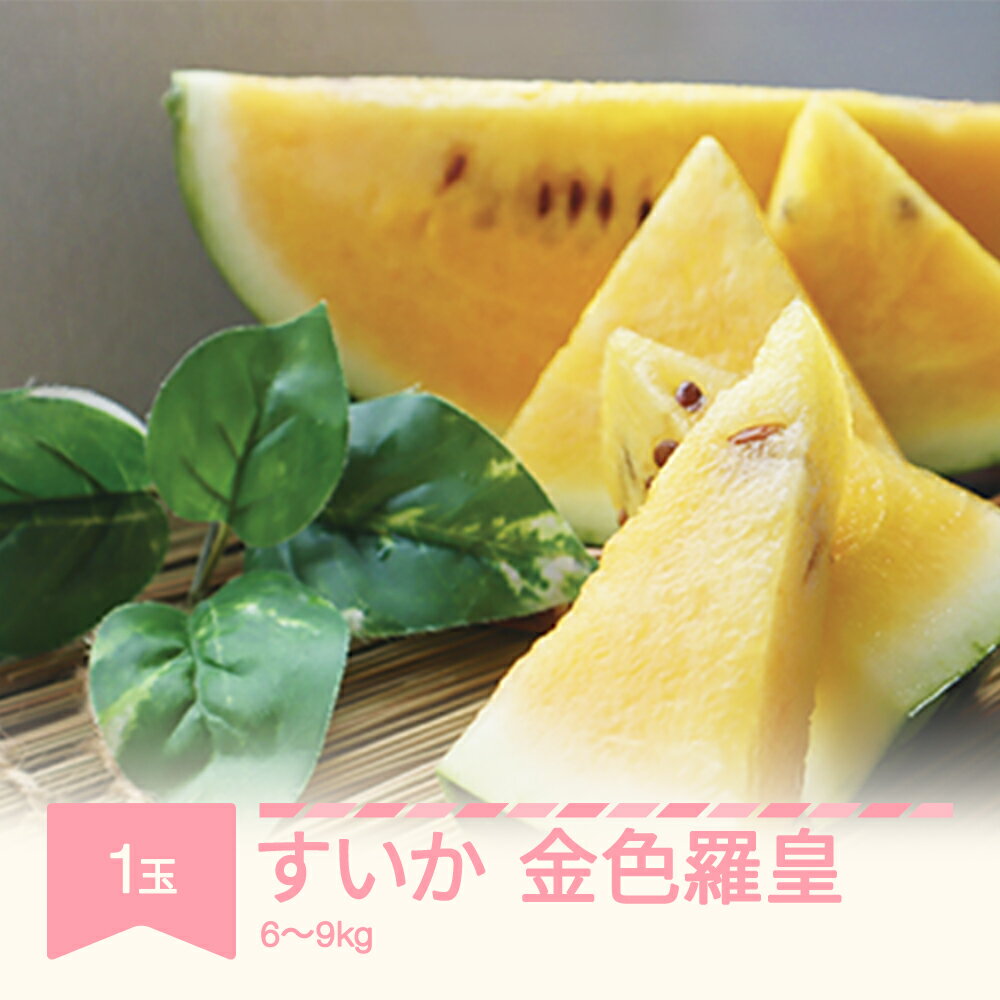 【ふるさと納税】先行予約 すいか 金色羅皇 1玉入り 6~9kg 2025年産 令和七年産 山形県産 送料無料 ※沖縄・離島への配送不可