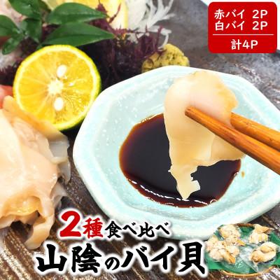 ふるさと納税 新温泉町 生食可・2種類のバイ貝むき身　各2パック(赤バイ、白バイ貝)