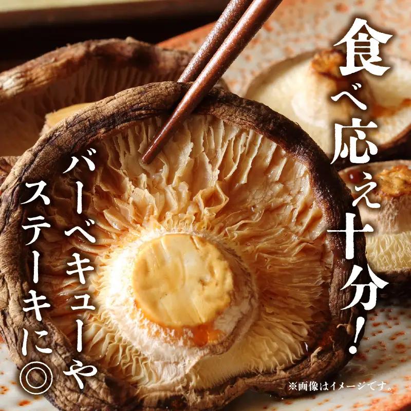 大分県産椎茸 香こ 逸品 IP-B F07020