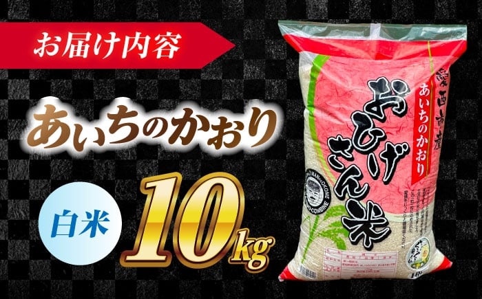 米 お米 10kg 10キロ 白米 精米 新米 愛知県産 国産 あいちのかおり