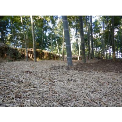 ふるさと納税 長岡京市 【京のブランド野菜】朝掘り生たけのこ　3kg |  | 02