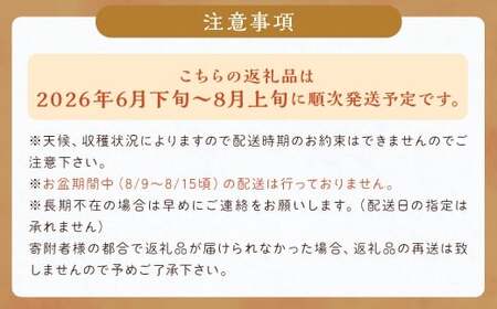 数量限定 種なし 巨峰  約350g×4パック 計約1.4kg ぶどう ブドウ 果物 フルーツ 福岡県産 【2026年6月下旬～8月上旬発送予定】