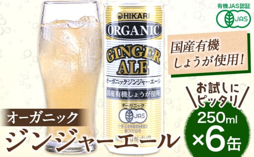 お試し オーガニック ジンジャーエール 250ml 6缶《30営業日以内に出荷予定(土日祝除く)》 徳島県 上板町 送料無料 ジュース 炭酸 飲料 ジンジャー 生姜 有機JAS認証 無糖 国産有機生姜使用 お取り寄せ おためし