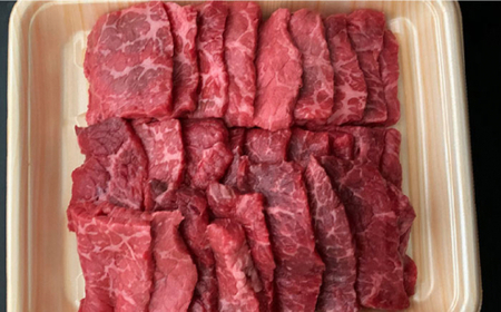 【上質な赤身の旨味】博多和牛 牛肉  焼き肉 モモ 赤身 500g ＜肉のくまもと屋＞那珂川市 牛肉 肉 黒毛和牛 ブランド牛 国産  BBQ バーベキュー 焼肉用 和牛 もも肉 BBQ バーベキュー