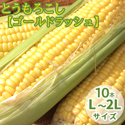 【2025年8月～発送】北海道 富良野産 とうもろこし ≪ゴール