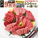 宮崎牛9種盛り焼肉セット 数量限定・お届け月が選べる