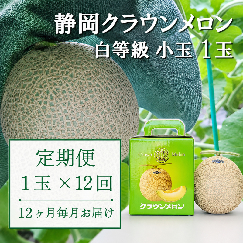 【12か月定期便】クラウンメロン【並(白等級)】小玉(1.1kg前後)1玉入り 果物 メロン青肉 フルーツ デザート 高級メロンブランド 高級メロン ブランドメロン 