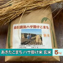 【ふるさと納税】秋田県羽後町産 あきたこまち ハサ掛け米 玄米 5kg えのもと　【玄米・お米・お米・あきたこまち】